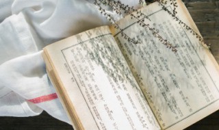 黑旋风探救柴进概括 黑旋风探救柴进概括150