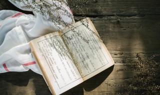 西游记第六十五回概括200字 西游记第六十五回梗概200字左右