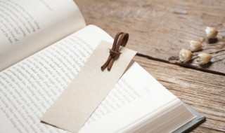 李逵梦闹天池概括（李逵梦闹天池概括200字）