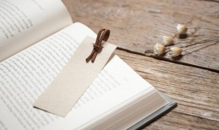 简爱第三十五章概括 简爱第三十五章概括400字