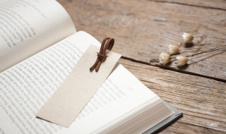 苏轼的人生经历概括（苏轼的人生经历概括200字）