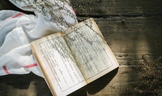 俗世奇人苏七块概括（俗世奇人苏七块概括50字）