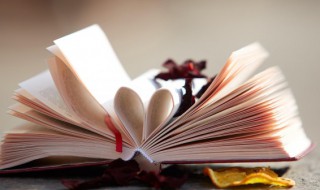 草房子概括主要内容（草房子概括主要内容50字）