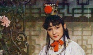 贾宝玉人物形象概括 贾宝玉人物形象概括50字