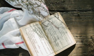 水浒传第四十一回概括300字（水浒传第四十回内容概括300字）