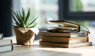 西游记错坠盘丝洞概括（西游记错坠盘丝洞概括20字）