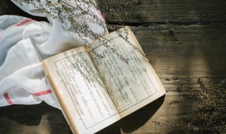 书戴嵩画牛概括 书戴嵩画牛概括10字