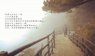 目送好词好句 目送好词好句好段摘抄及感受