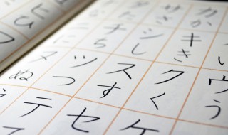 suki日语是什么意思 suki是什么意思中文