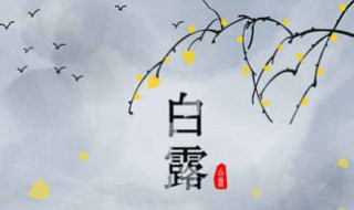 白露时节的诗词（白露时节的诗词玉阶怨）
