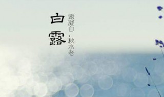 白露名句（白露的短句）
