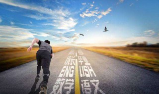 努力的成语（努力的成语有哪些）