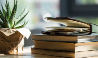 读后感开头唯美句子（读后感开头唯美句子坚持自己）