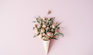 写花的美句 写花美句子