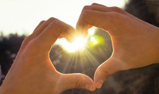 歌颂阳光的句子（歌颂阳光的句子鸡汤）
