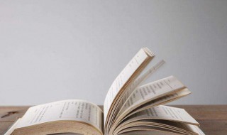 马占山传奇简介（马占山传奇简介儿子 一生）