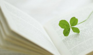 古风励志哲理句子 古风有哲理的句子