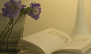 比较励志又唯美的句子 比较励志又唯美的句子学生