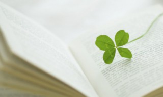 关于阳光的励志句子 关于阳光的励志句子简短