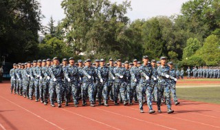 军训步伐训练总结范文（军训步伐训练总结范文大全）