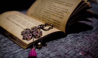 钢铁是怎样炼成的英文美句（钢铁是怎样炼成的名句英文原版）