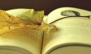 小王子美句英文 小王子美句英文翻译