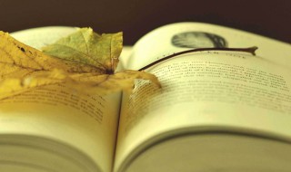 小王子英文版名句 小王子名句 英文