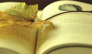 爱丽丝梦游仙境英文美句 爱丽丝梦游仙境英文名句