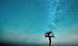 30句优美的英语句子（十句优美的英语句）