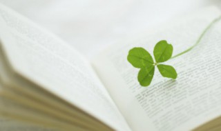 文案短句干净可爱 舞蹈文案短句干净可爱