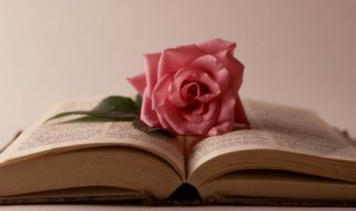 跟蝴蝶有关的古风美句 跟蝴蝶有关的古风美句图片