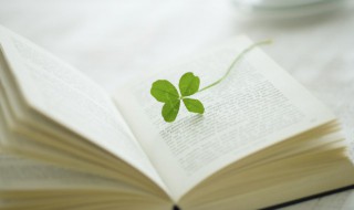 40句精辟哲理短句（有哲理的短句）