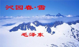 沁园春雪全诗原文