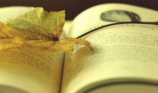 珍惜时间的格言名句（珍惜时间的格言名句惜时间格言大全）