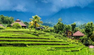 描写田园风光的诗句 描写田园风光的诗句有哪些