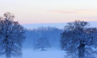 形容冬天冷的句子（形容冬天冷的句子唯美）