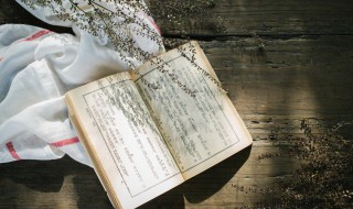 带月字的诗句（带月字的诗句小学）