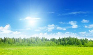 励志向上的句子