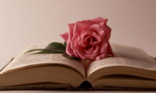 形容夏天热的句子(形容夏天热的句子唯美)