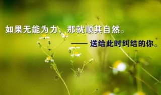 关于人生哲理的句子（关于人生哲理的句子励志简短）