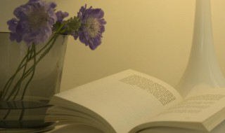 蓝天白云的句子 在飞机上看到蓝天白云的句子