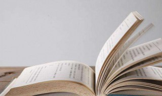 亲爱的安德烈经典语句 亲爱的安德烈经典语句在书中第几页