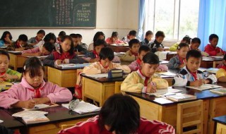 以梦为马不负韶华的下一句（以梦为马不负韶华的下一句是什么）