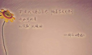 有意境的句子摘抄简短 意境优美的句子摘抄