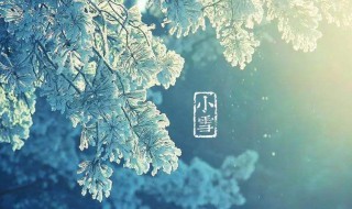关于小雪的古诗（关于小雪的古诗词）