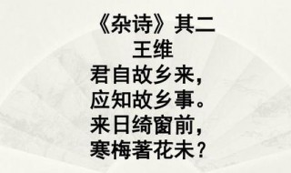 杂诗王维全文（杂诗王维杂诗）