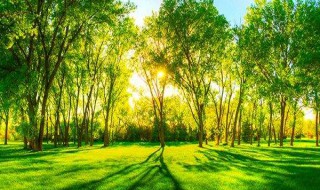 形容早晨美好的古诗 形容早晨美好的句子