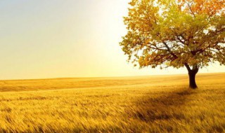 描写秋天的诗句古诗 描写冬天的诗句古诗