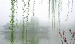 关于树的古诗 关于树的古诗100首