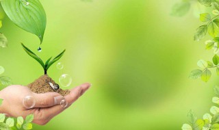 描写春天景色的古诗（描写春天景色的古诗五言绝句）